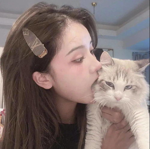 猫系真人男头像着迷