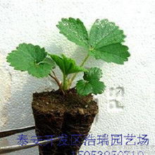 一代件销价格一代件销批发一代件销厂家hc360慧聪网
