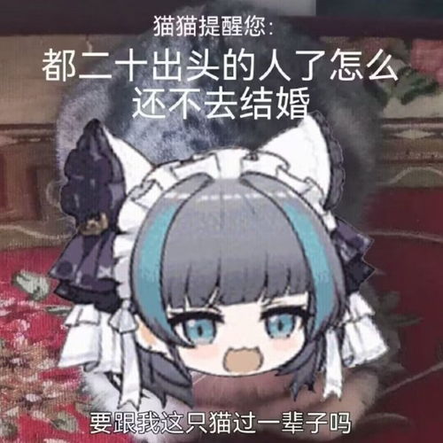 周一内涵囧图云飞系列美女节省布料只穿一字裤
