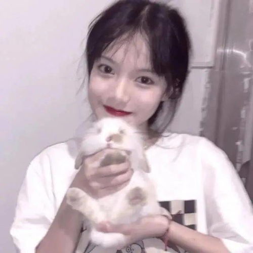 头像图片丨女生头像丨可爱的猫系女头1214