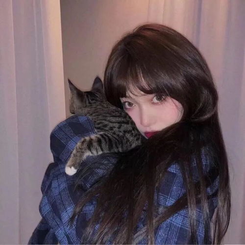 一组猫系女生头像,请签收