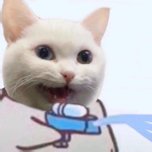 有趣的头像,专治不开心