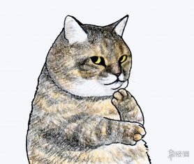 推特人气漫画猫咪现实真的存在本体也超霸气