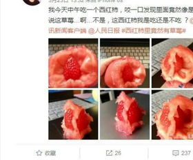 西红柿成精了吃西红柿竟然吃出来草莓