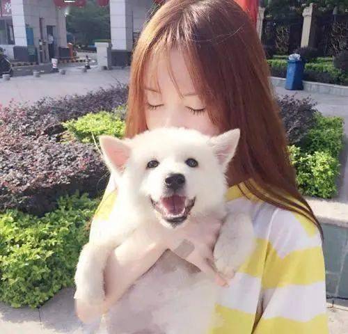 女生和狗狗的高清头像