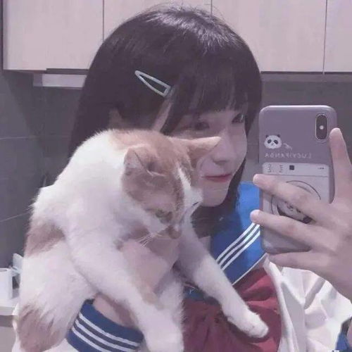 头像图片丨女生头像丨可爱的猫系女头1214