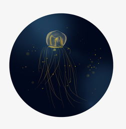 世界海洋日手绘水母图片素材其他格式下载动漫人物大全