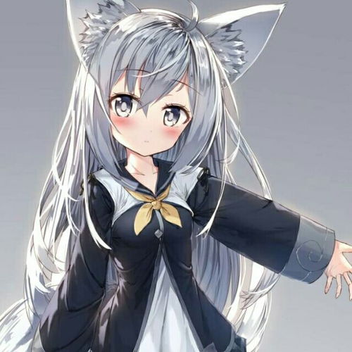 兽耳娘壁纸头像第六十八期