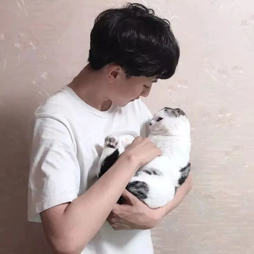 治愈系男生抱猫头像总有一些温暖与你不期而遇