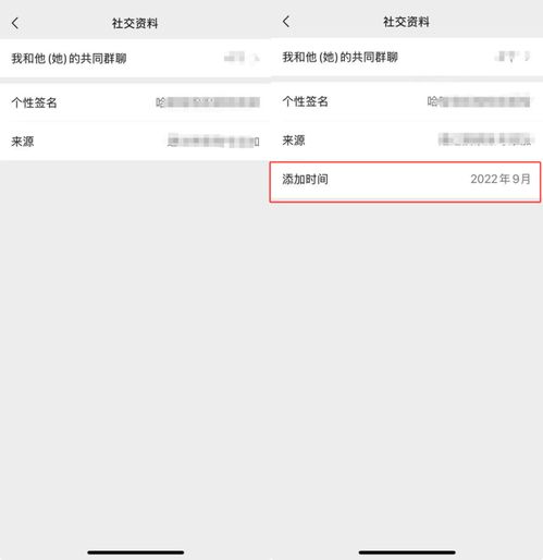 微信8.0.52正式版更新,全新功能降临