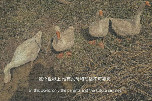 无标题