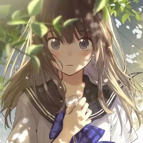 公主殿下内定的动漫女头