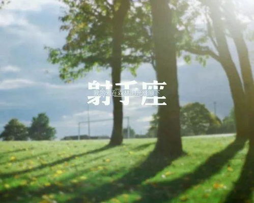 射手座浅蓝色系的专属头像2022年