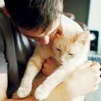 好看的抱着猫咪的情侣头像一男一女
