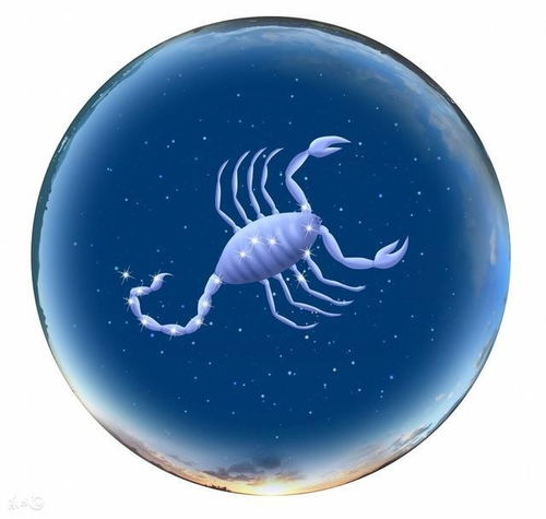 脑子好使,非常聪明的星座