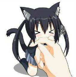 这只猫女叫什么名字