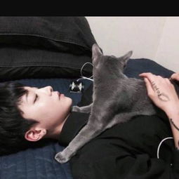 20求一情侣头像女生部分,男生的是抱着一只猫,上图