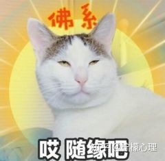 越来越佛系的原因