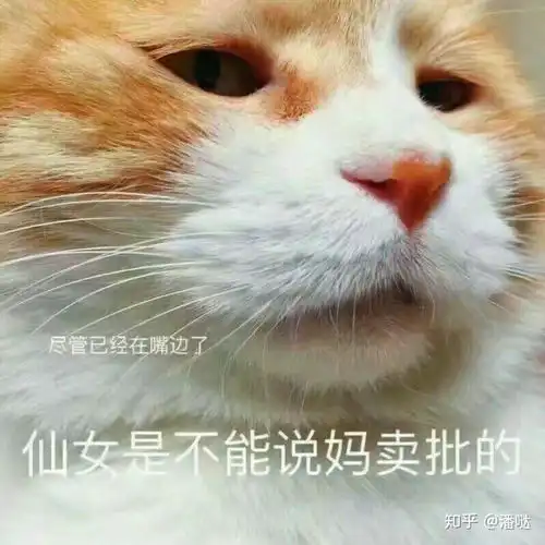 一个傻子图片头像男