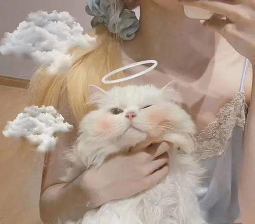 什么样的爱情是男人难以忍受的,射手座男人逼婚