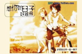 icelemon33的相册
