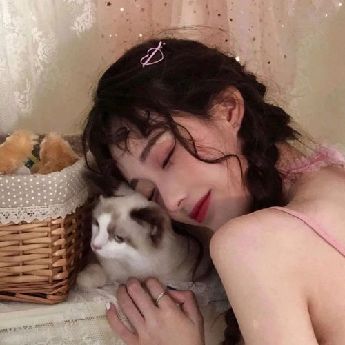 抱猫头像爱意随风起却不随风散