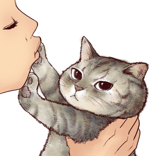 哇发现一组猫片来上车车门给我锁死