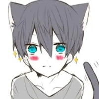 猫与少年动漫头像
