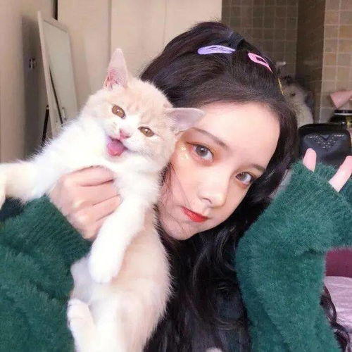 头像图片丨女生头像丨可爱的猫系女头1214