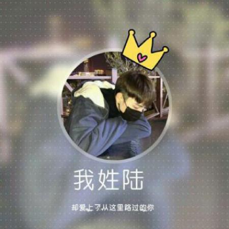男生姓氏头像,圆形边框加上皇冠加上我姓什么