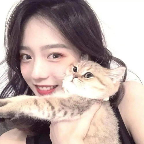 头像图片丨女生头像丨可爱的猫系女头1214