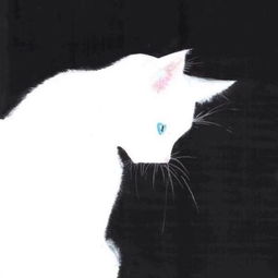 可爱猫猫情侣头像一对两张