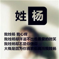 带姓氏文字图片头像大全,姓杨姓张姓王姓黄等