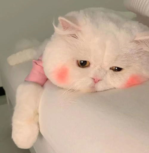 改变那些糊弄人生的人怎么样了