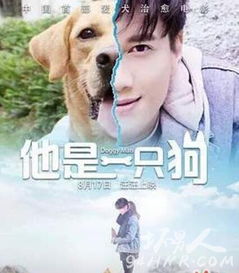 他是一只狗lucky结局是什么火场救主生死未卜