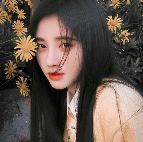 头像鞠婧祎yyds