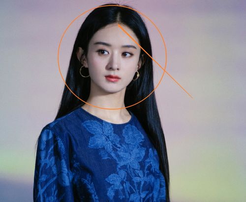 都说赵丽颖是发量王者,谁料镜头拉近,被假发片出卖真实发量
