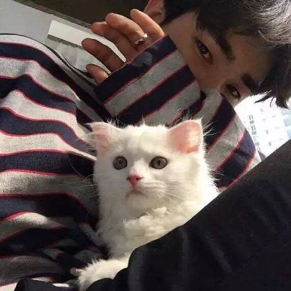 猫系头像一男一女男人性趣