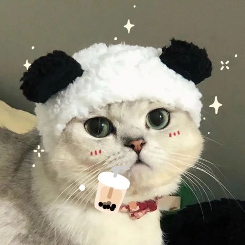 微甜情头情头一换,我就是酷盖