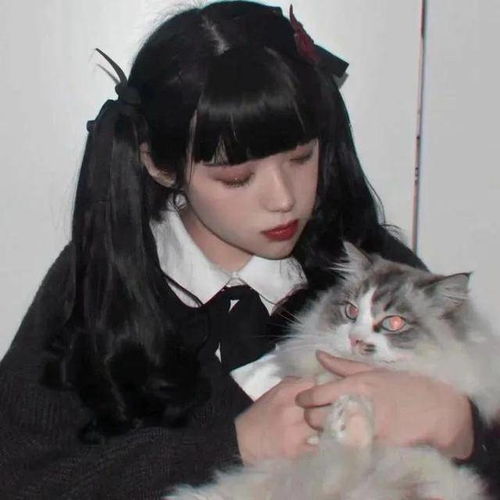 头像,抱猫女孩最温柔