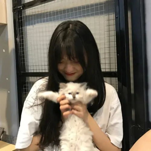 一看就想恋爱的优质女头
