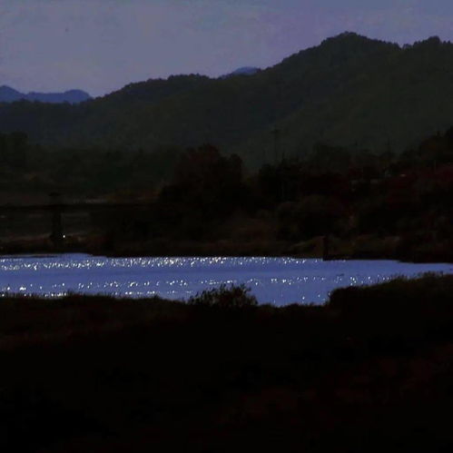 超可的背景图
