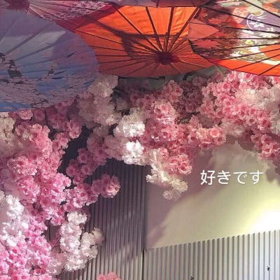季清少女心仙气粉色唯美治愈风景静物头像我要个性网