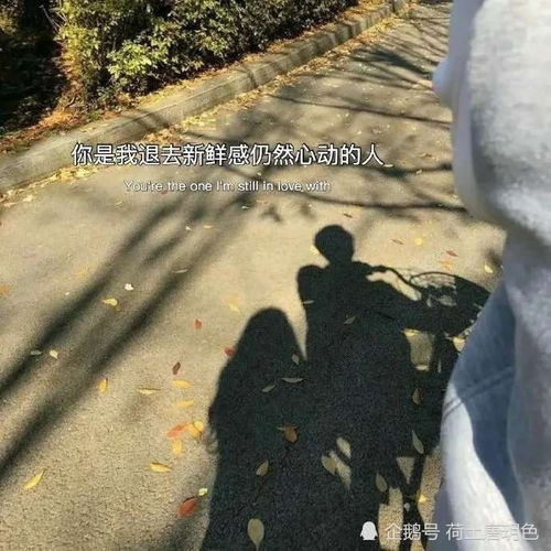 网易云热评晚上和男朋友打语音电话,10几分钟后听见电话那边