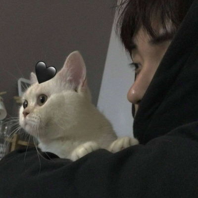 带猫咪的男生头像,抱着猫喜欢猫的男头爱吗
