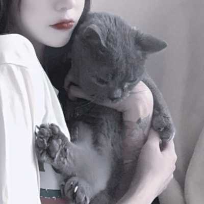 对象是猫系列情头头像,情侣头像图片