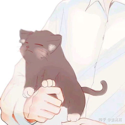 动漫头像男猫