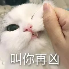 男生们长点心吧,也许你们女友也是显微镜系女孩呢