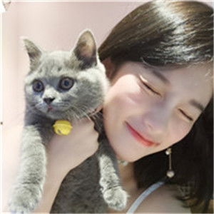 头像图片丨女生头像丨可爱的猫系女头1214