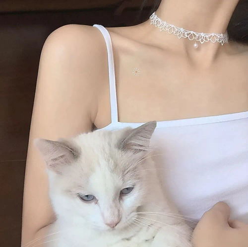 女生头像小仙女请集合